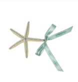 Starfish Ornament with Aqua Crystals