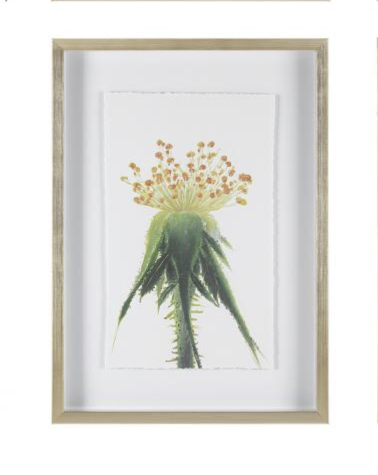 Wildflower Print