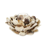 Oyster Hand-Crafted Votive / Tealight Candleholder