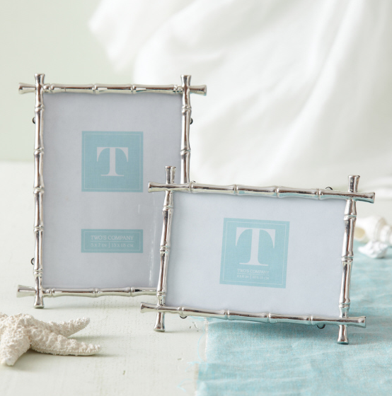 Silver Bamboo Frame 4x6