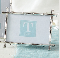 Silver Bamboo Frame 4x6