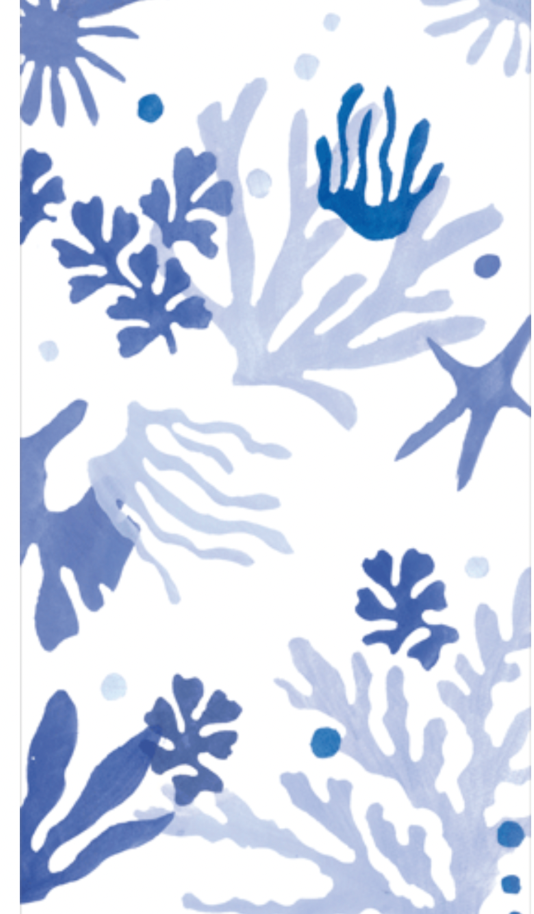 Matisse Guest Towel Napkins in Coral & Blue