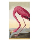 Audubon Birds Paper Guest Towel Napkins