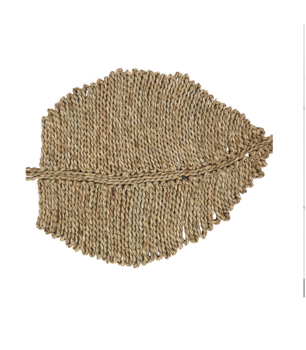 Sea Grass Leaf Placemat