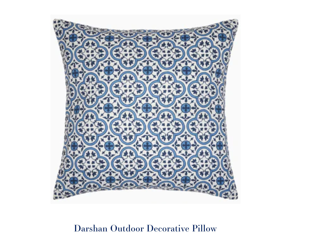 Darshan Outdoor Decorative Pillow 22"