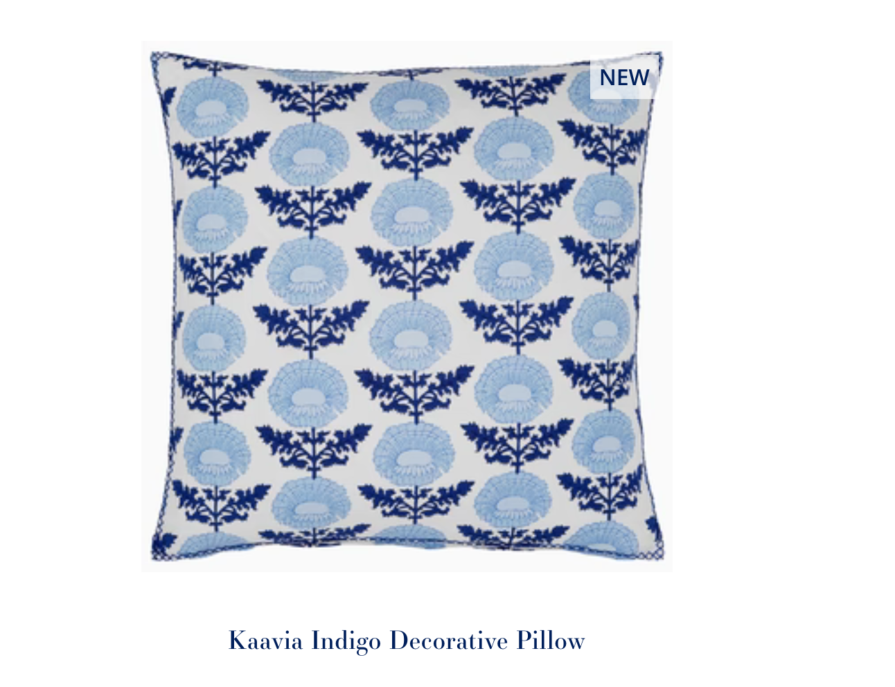 Kaavia Indigo Decorative Pillow 22"