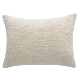 Cloud9 Design Soft Textured Beige Pillow - 14X20