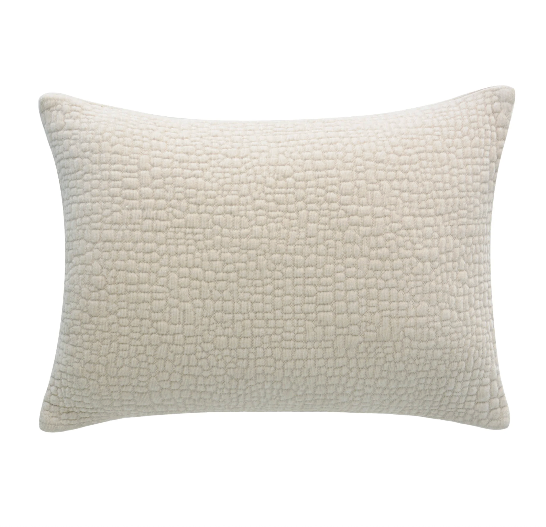 Cloud9 Design Soft Textured Beige Pillow - 14X20