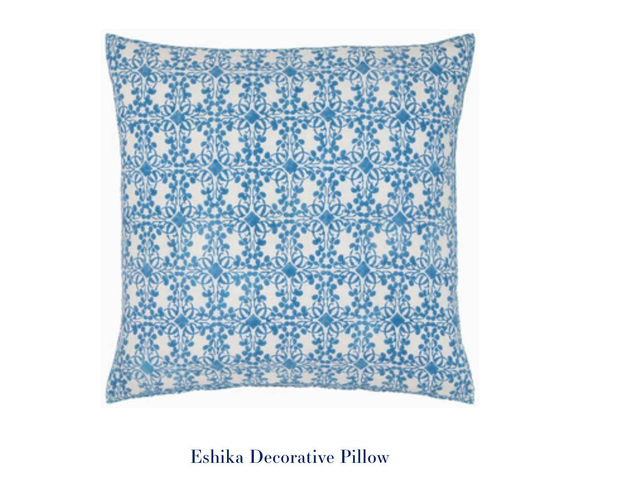 Eshika Decorative Pillow 22"