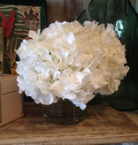 Large Hydrangea x3 in 5" Cylinder-Faux Water (White)