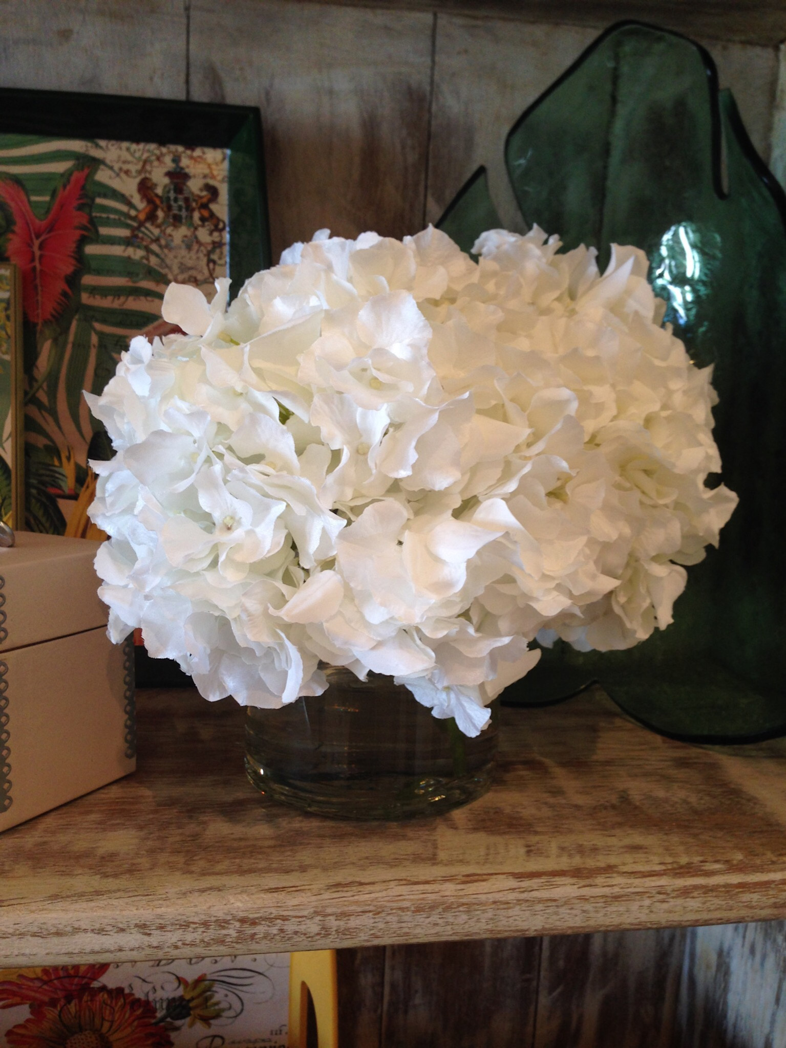 Large Hydrangea x3 in 5" Cylinder-Faux Water (White)
