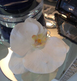 Phalaenopsis Orchid Votive-Faux Water (White)