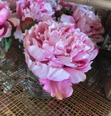 Peony x1 in 3" Cylinder (Pink)