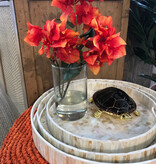 Bougainvillea in 6" Cylinder-Faux Water (Orange)
