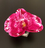 Phalaenopsis Orchid Votive-Faux Water (Orchid)