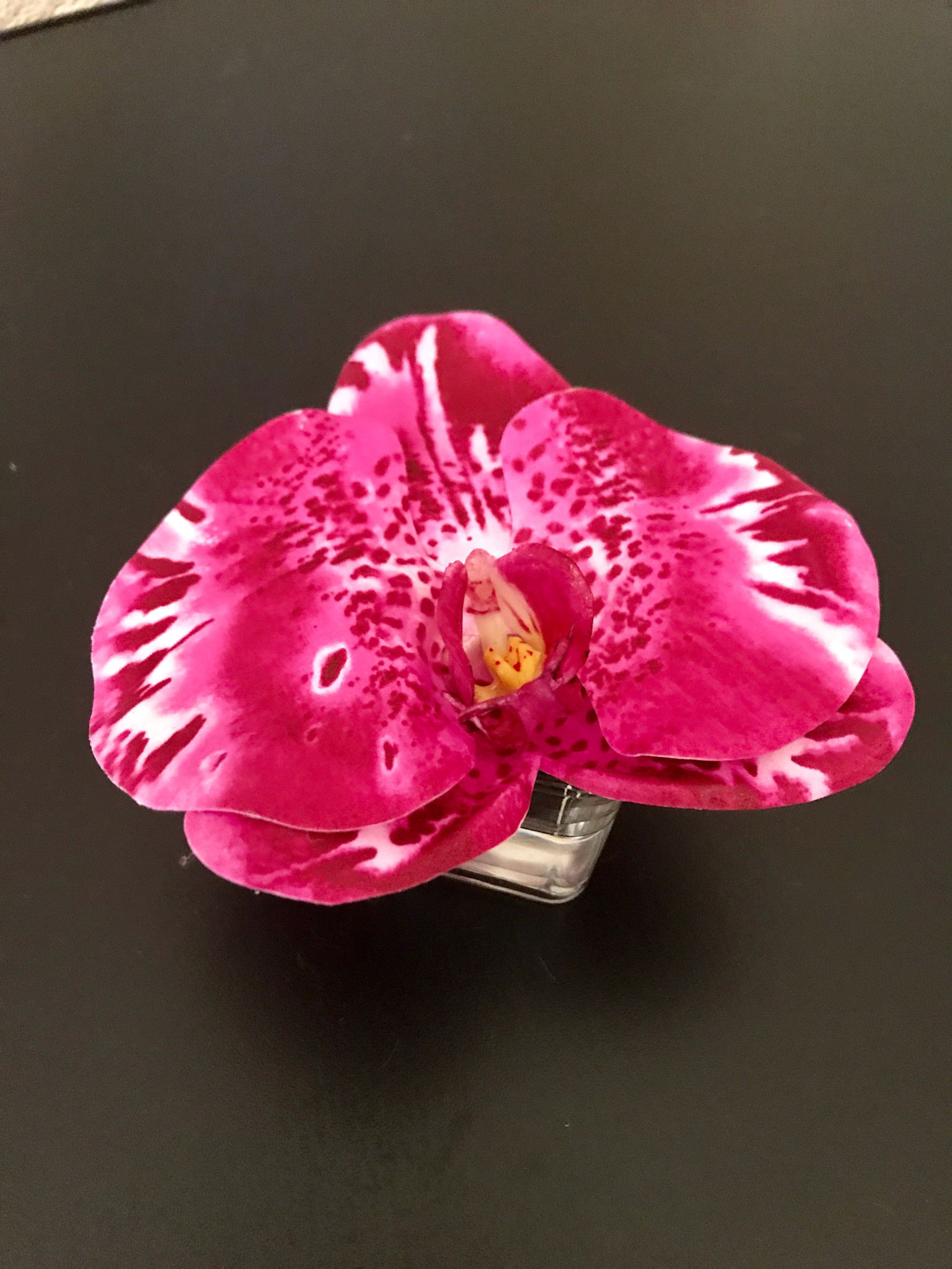 Phalaenopsis Orchid Votive-Faux Water (Orchid)