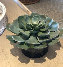 12" Succulent x1 in 6" Cylinder-Faux Water/Stones (Green)