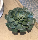 12" Succulent x1 in 6" Cylinder-Faux Water/Stones (Green)