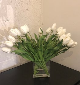Dutch Tulips in 6” Rectangle Vase (White)
