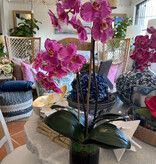Medium Phalaenopsis Orchid x2 in 5" Cylinder-Faux Water (Lavender Orchid)