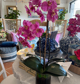 Medium Phalaenopsis Orchid x2 in 5" Cylinder-Faux Water (Lavender Orchid)