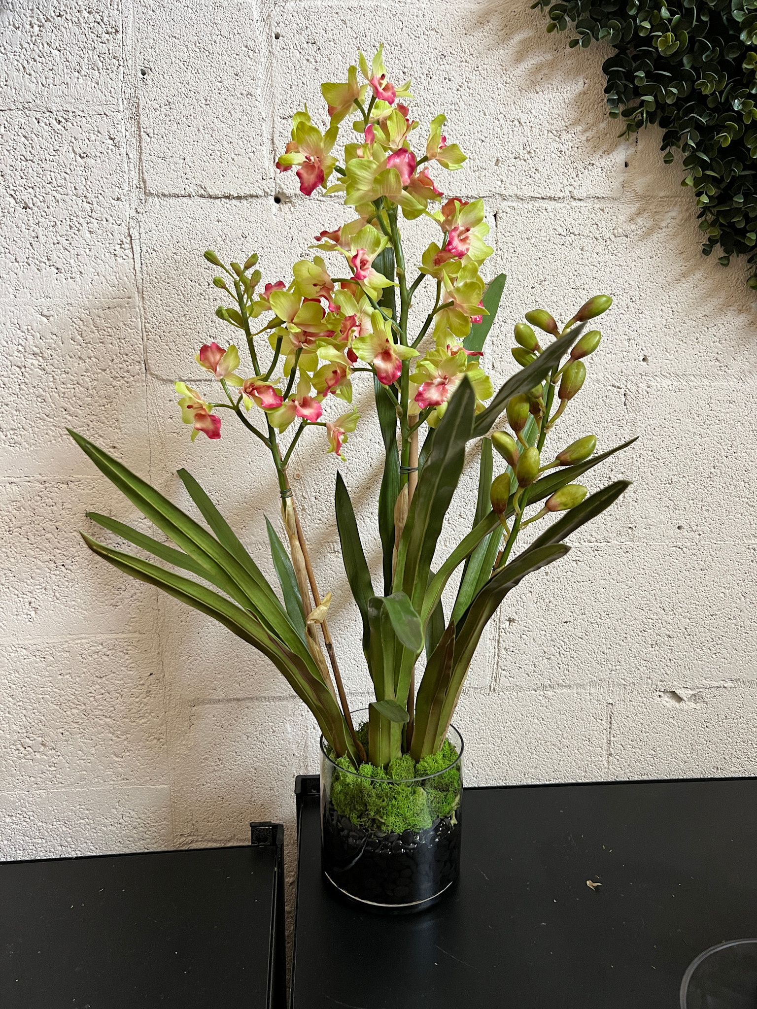 Dendrobium Orchid in 6" Cylinder-Faux Water (Green)