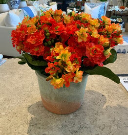 Kalanchoe in Weathered Pot, Large-Orange