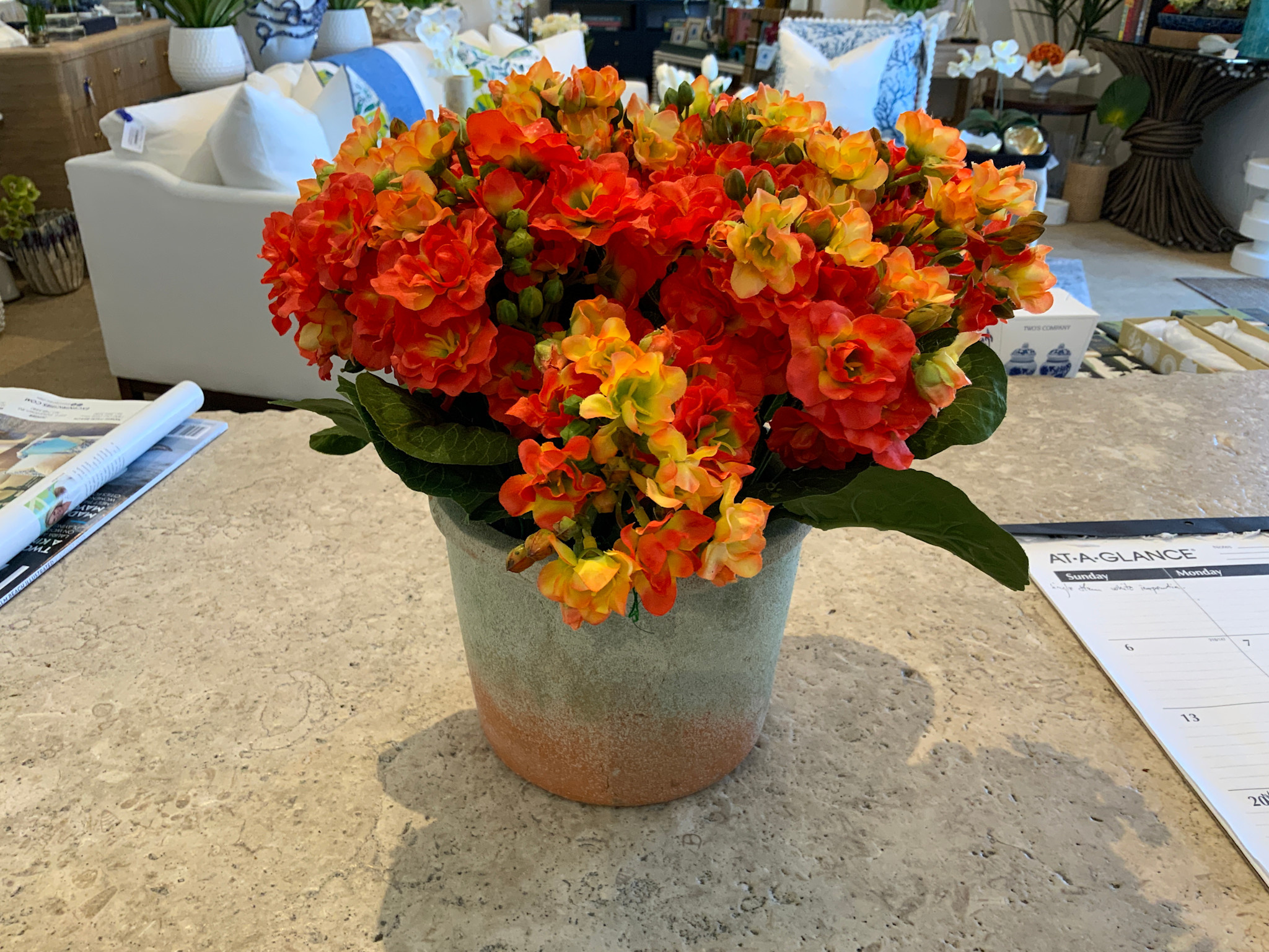 Kalanchoe in Weathered Pot, Large-Orange