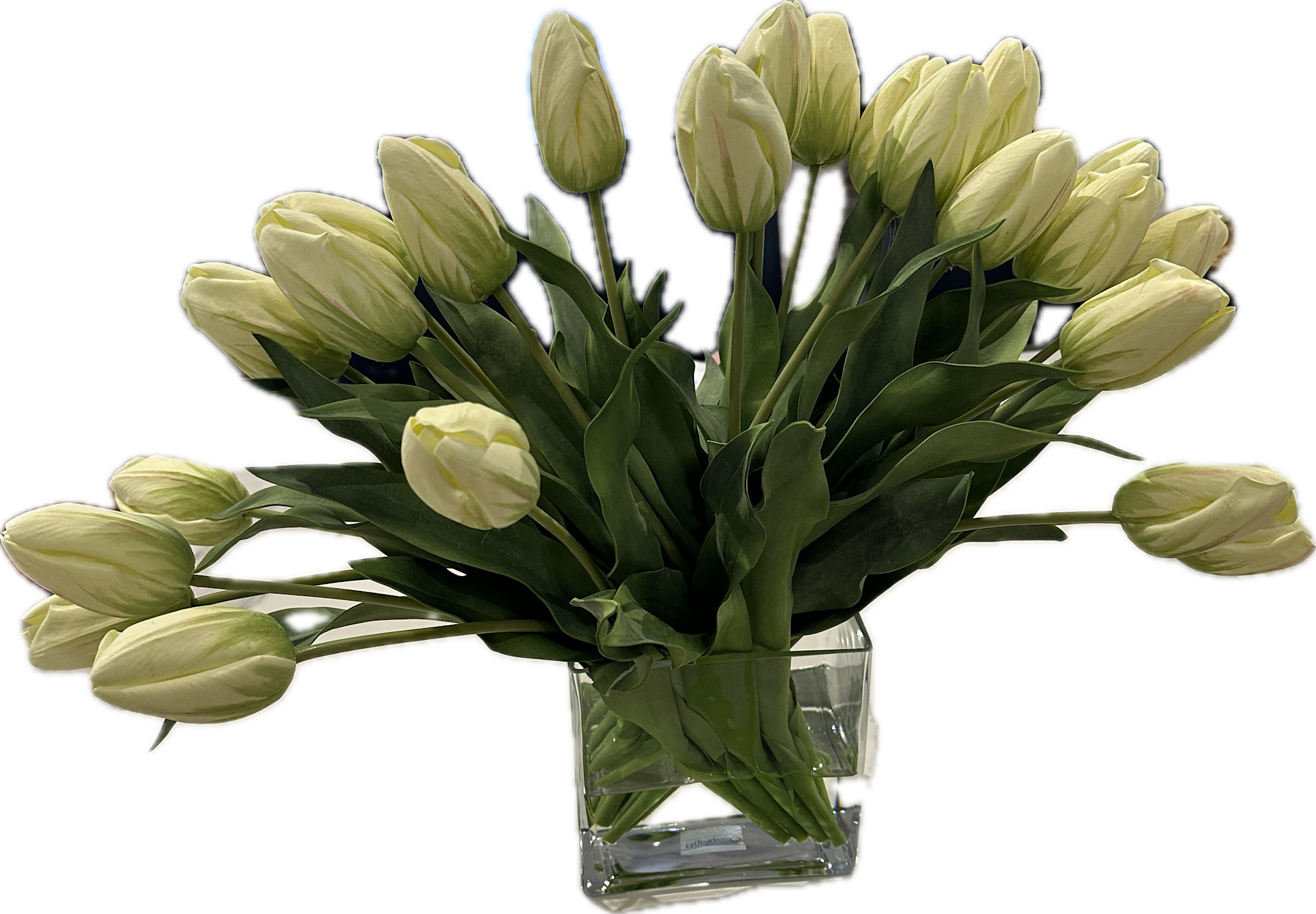 Dutch Tulips in 6” Rectangle Vase (Light Green)