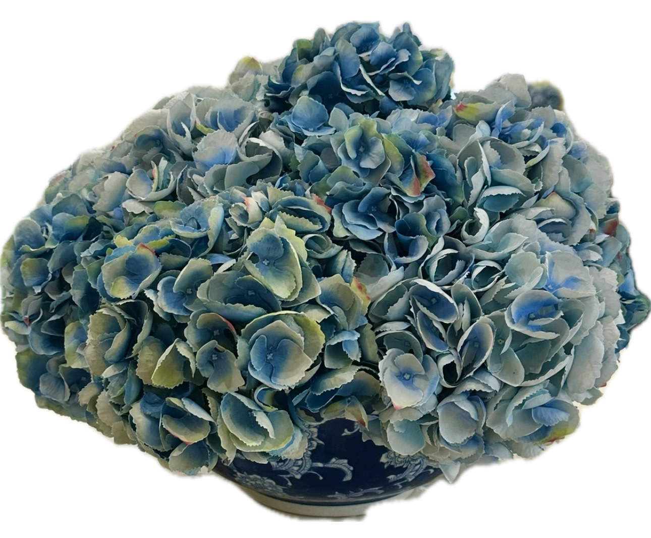 Hydrangea in Long Life Bowl-BL/LBL