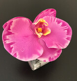 Phalaenopsis Orchid Votive-Faux Water (Lavender Orchid)