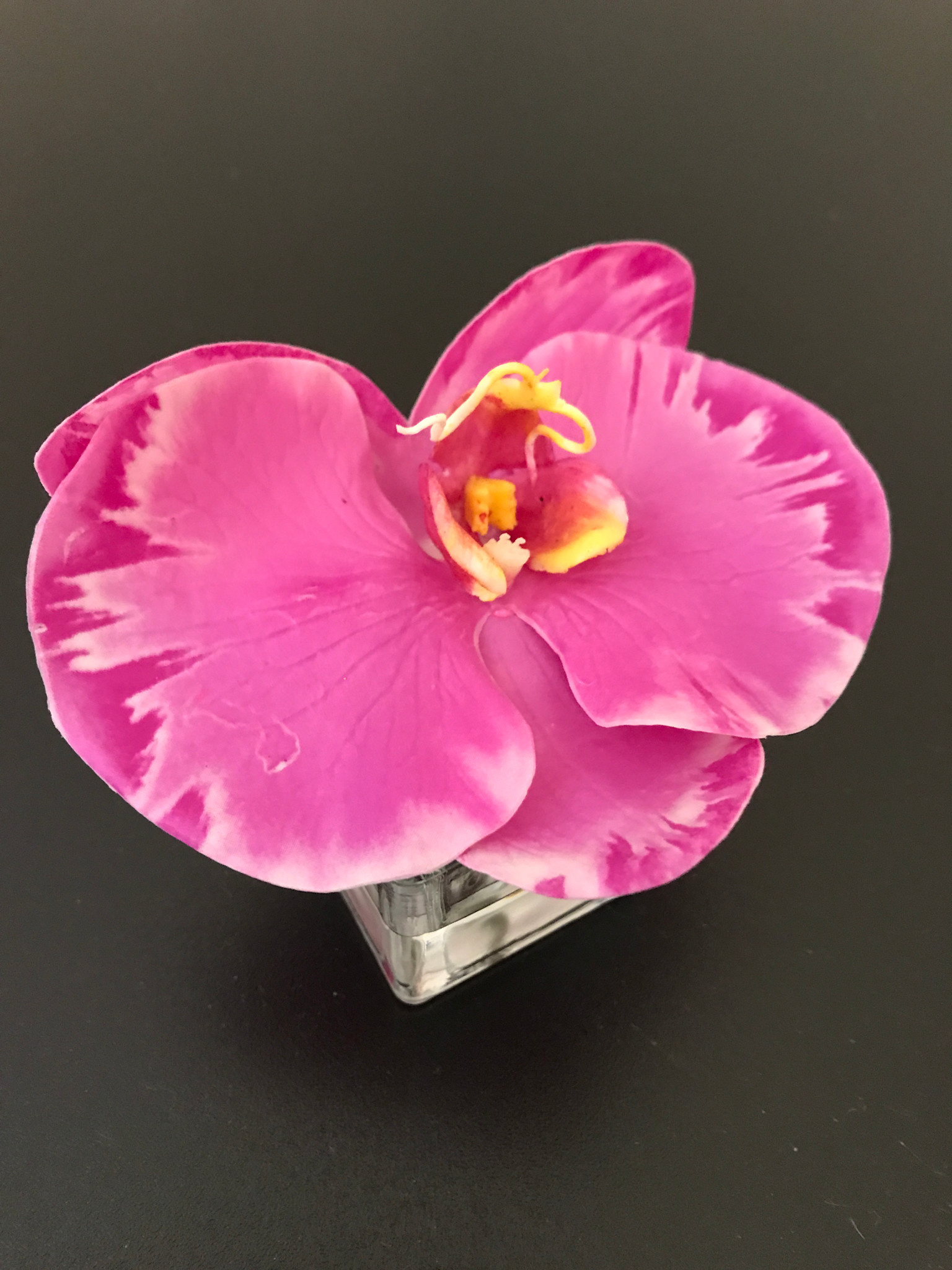 Phalaenopsis Orchid Votive-Faux Water (Lavender Orchid)