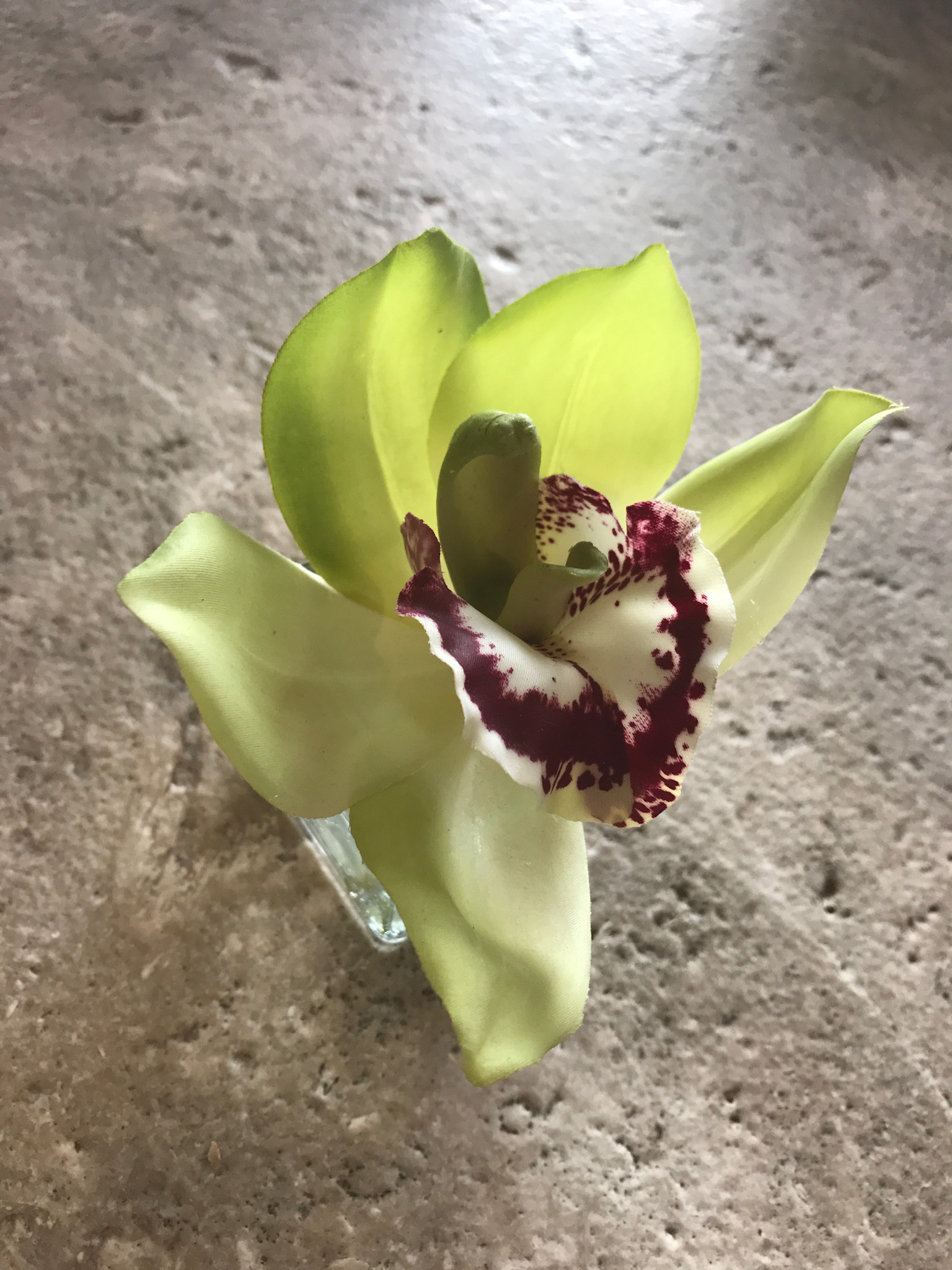 Cymbidium Orchid Votive-Faux Water (Green)