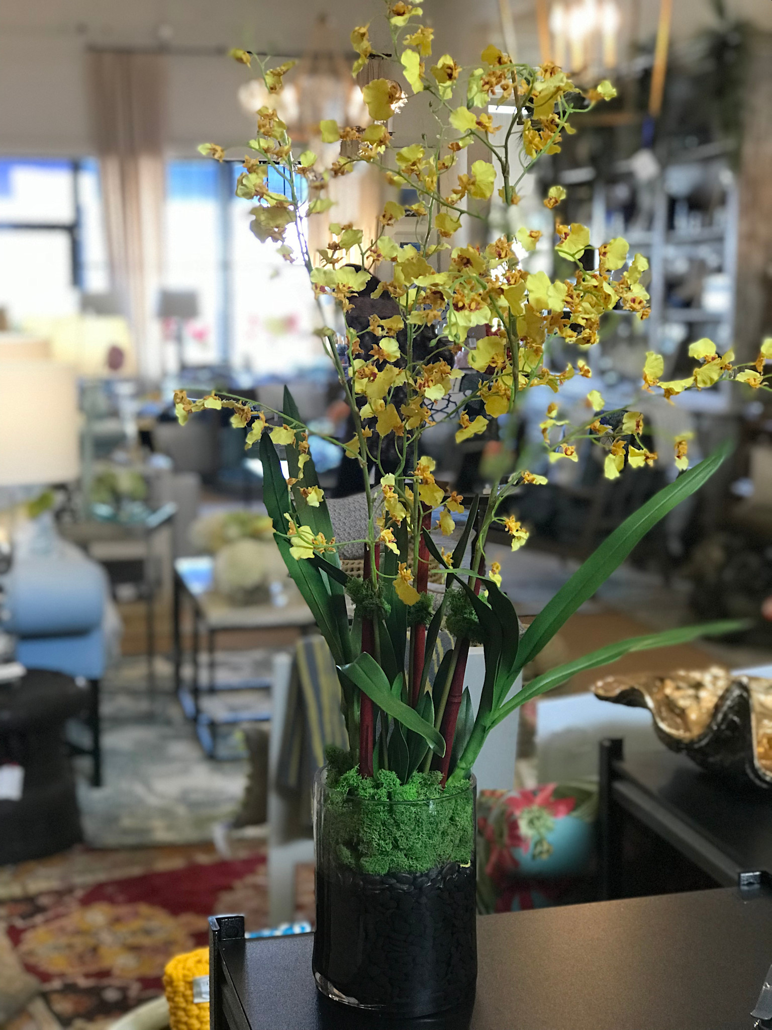 Oncidium Orchid x3 in Faux Water (Yellow)