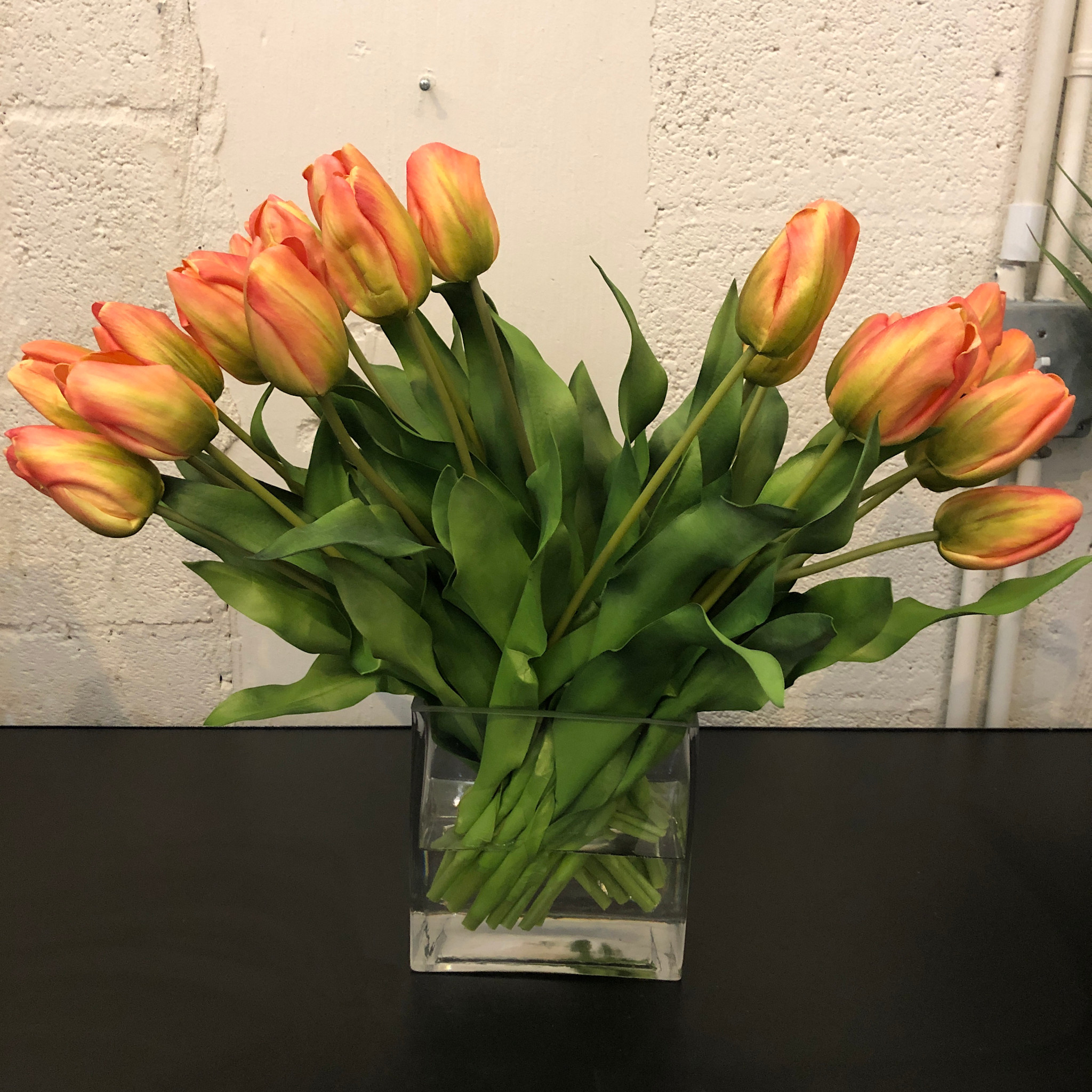 Dutch Tulips in 6” Rectangle Vase (Light Orange)