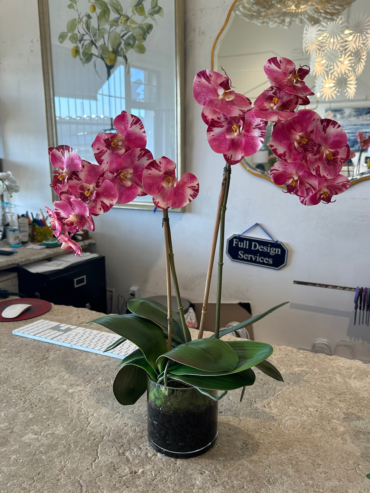 Medium Phalaenopsis Orchid x2 in 5" Cylinder-Faux Water (Purple White)