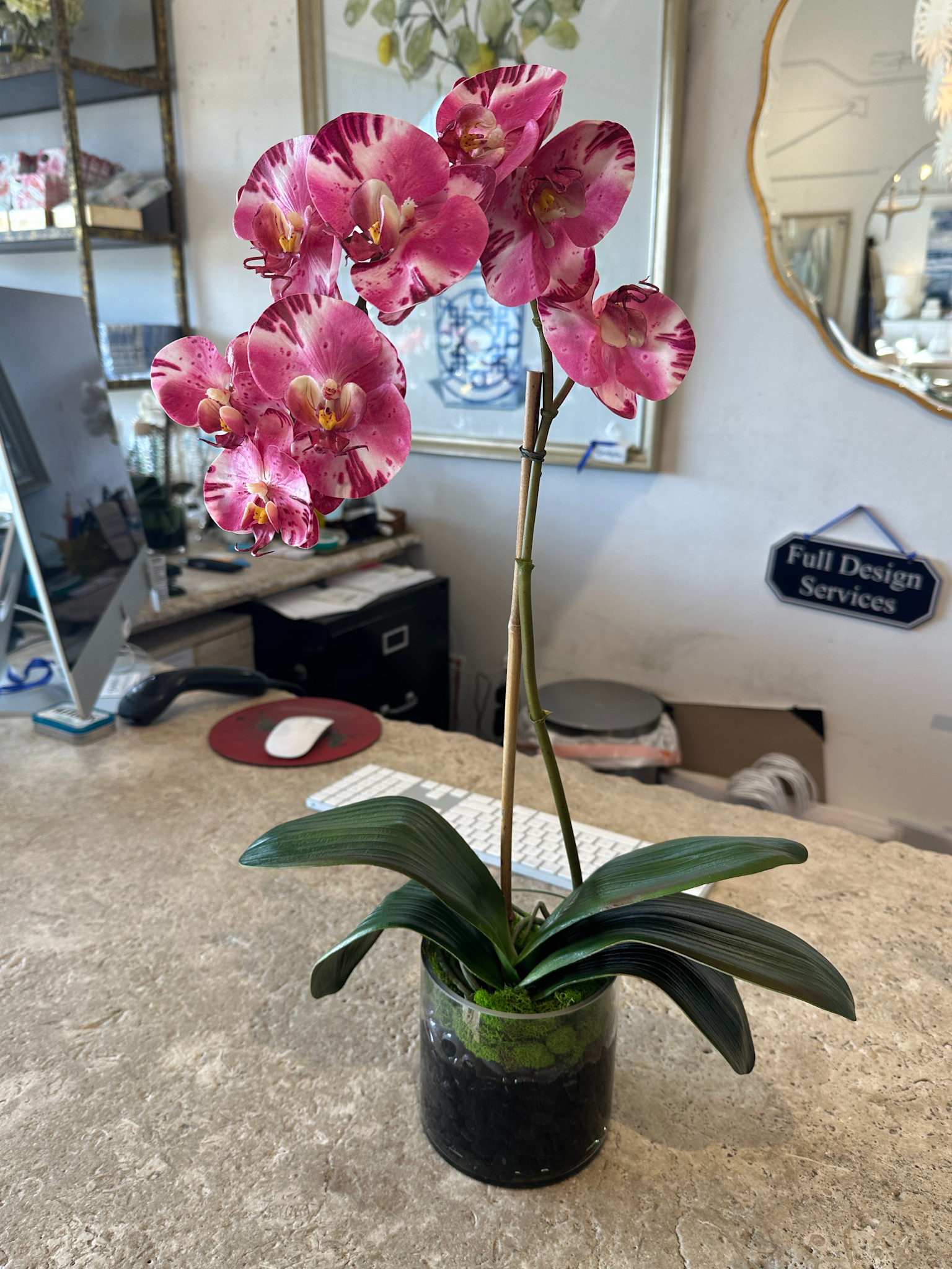 Medium Phalaenopsis Orchid in 5" Cylinder-Faux Water (Purple White)
