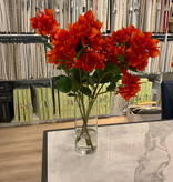 Bougainvillea in Tall Cylinder-Faux Water (Orange)