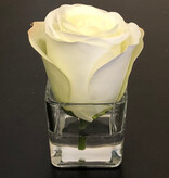 Rosebud Votive-Faux Water (White)