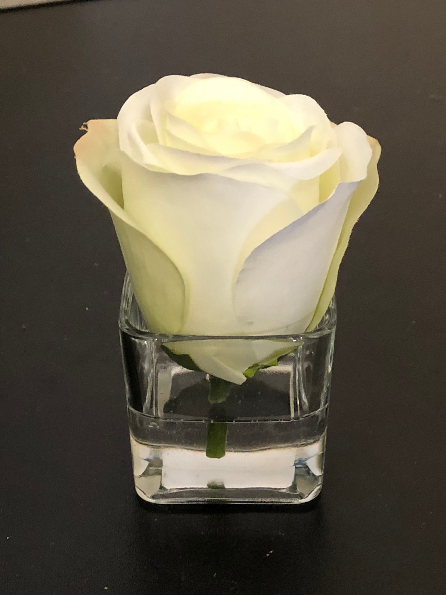 Rosebud Votive-Faux Water (White)