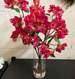 Bougainvillea in Tall Cylinder-Faux Water (Fuscia)