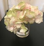 Hydrangea in 4" Cylinder-Faux Water (Cream Pink)