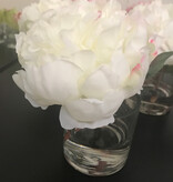 Peony x1 in 3" Cylinder (Cream)