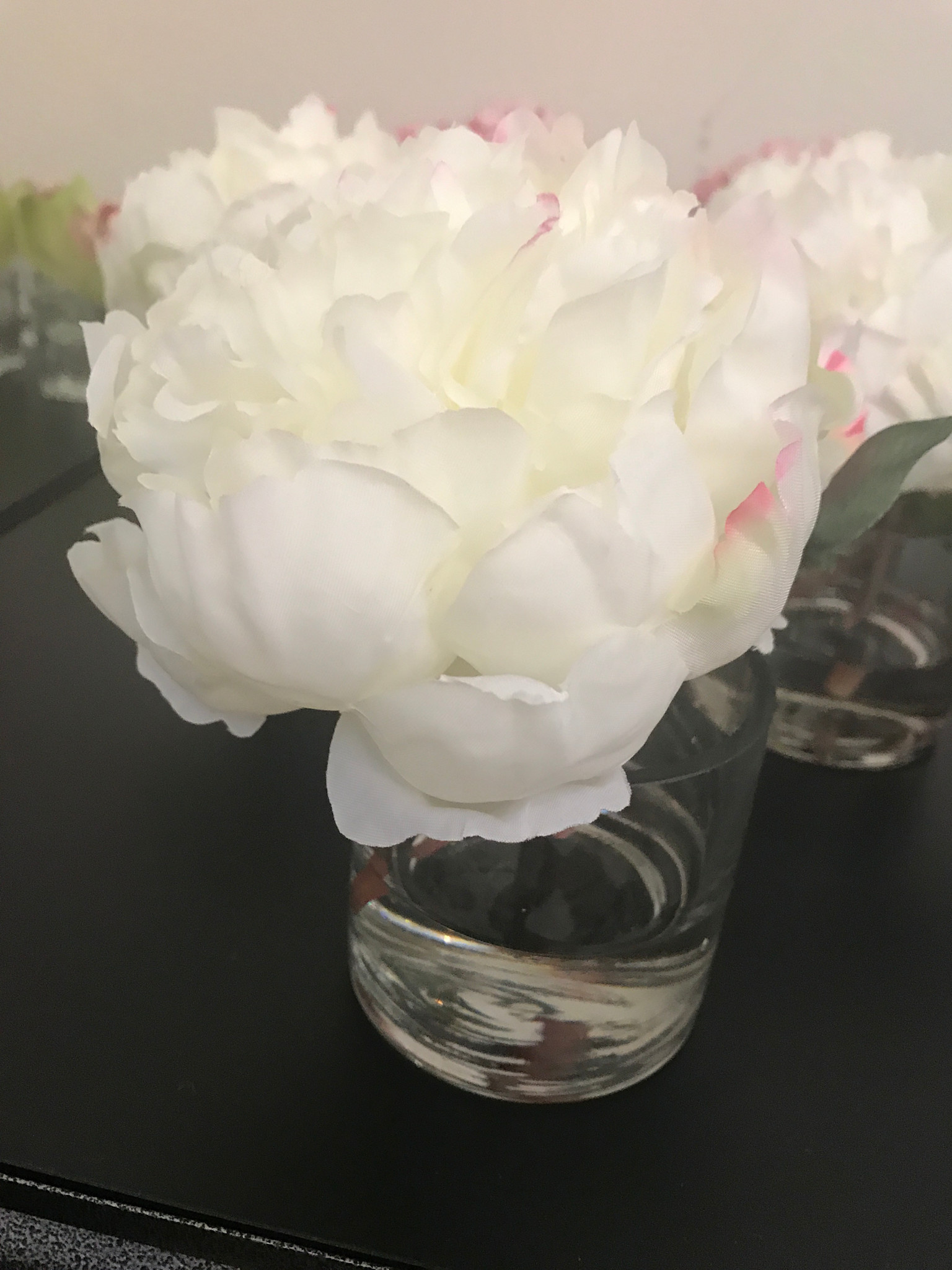 Peony x1 in 3" Cylinder (Cream)