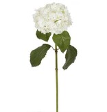 Hydrangea 25.5" White