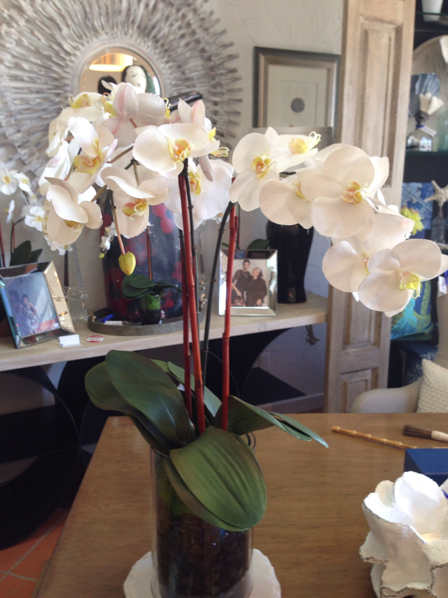 Large Phalaenopsis Orchid x3-Faux Water (White)