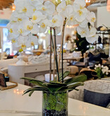 Large Phalaenopsis Orchid x3-Faux Water (White)