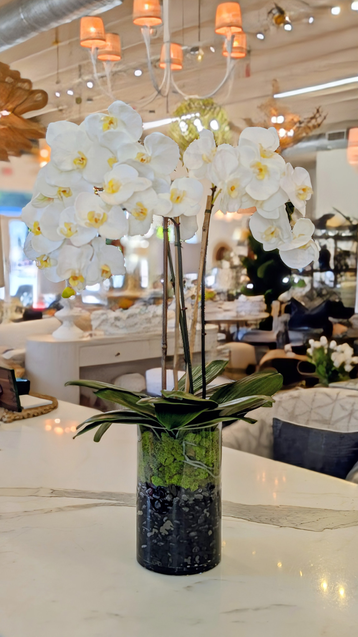 Large Phalaenopsis Orchid x3-Faux Water (White)