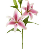 Casablanca Lily x 2 32” - Pink