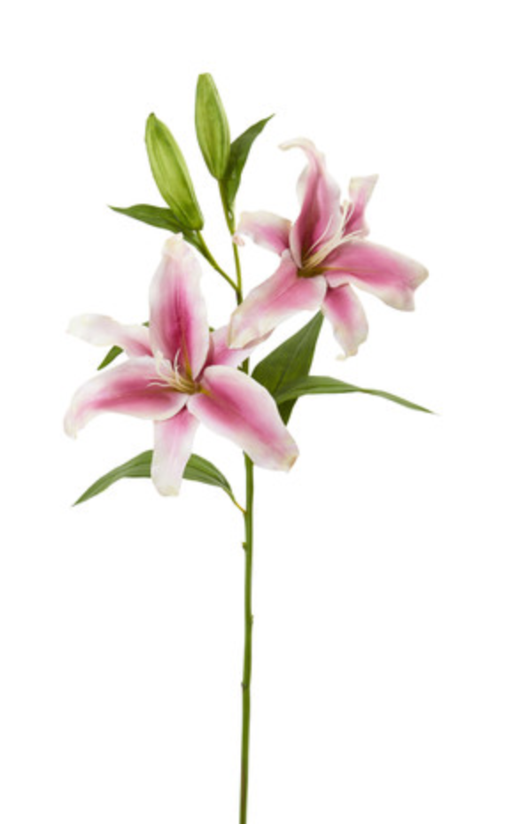 Casablanca Lily x 2 32” - Pink